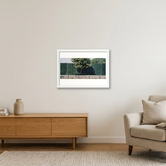 One Tree Bench — A3 (42×30cm, 17×12") White Frame