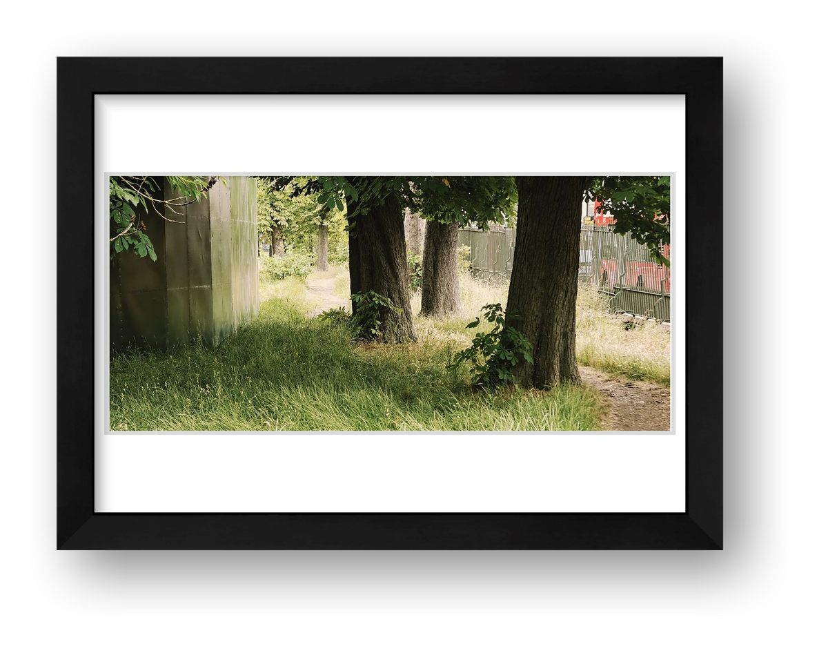 Between a Fence and a Fenced Place — framed