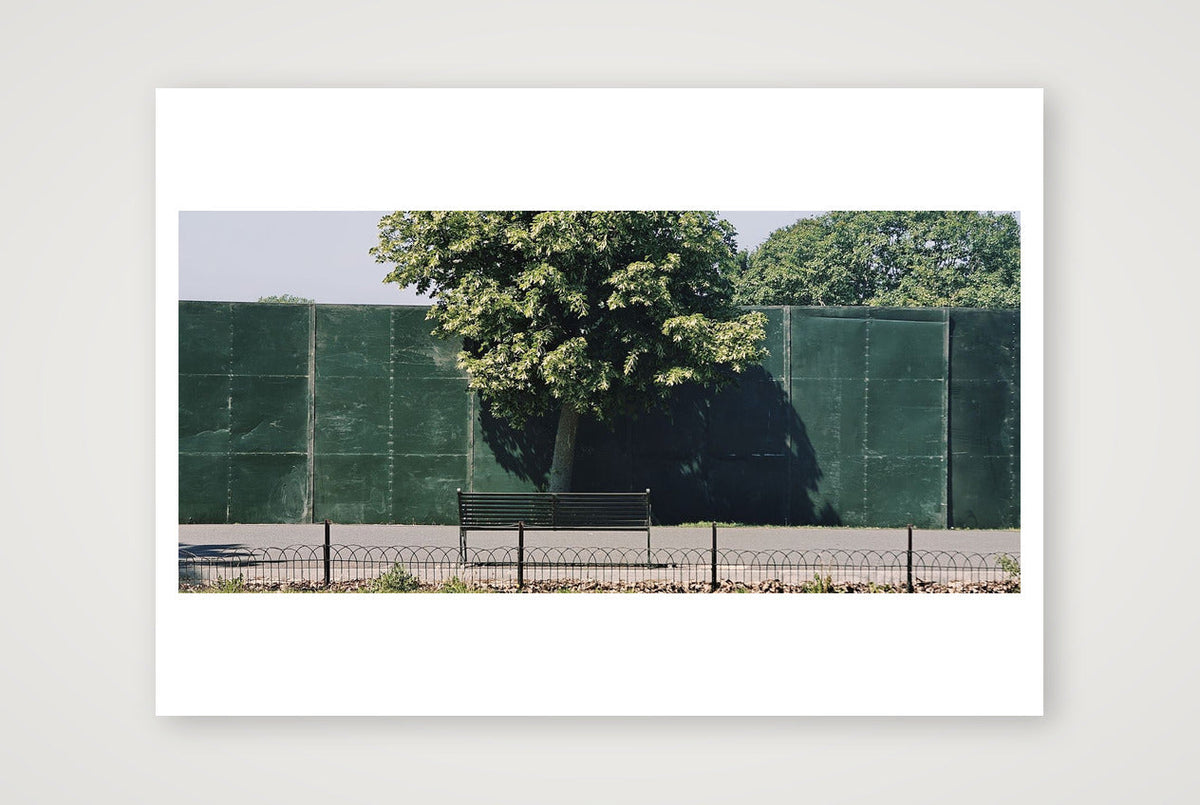 One Tree Bench — A4 (30×21cm, 12×8") Print only