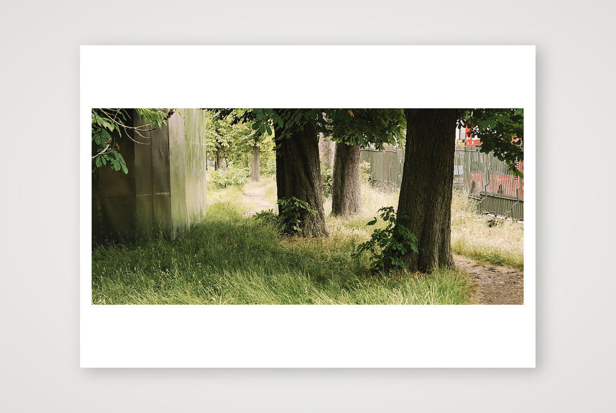Between a Fence and a Fenced Place — A3 (42×30cm, 17×12") Print only