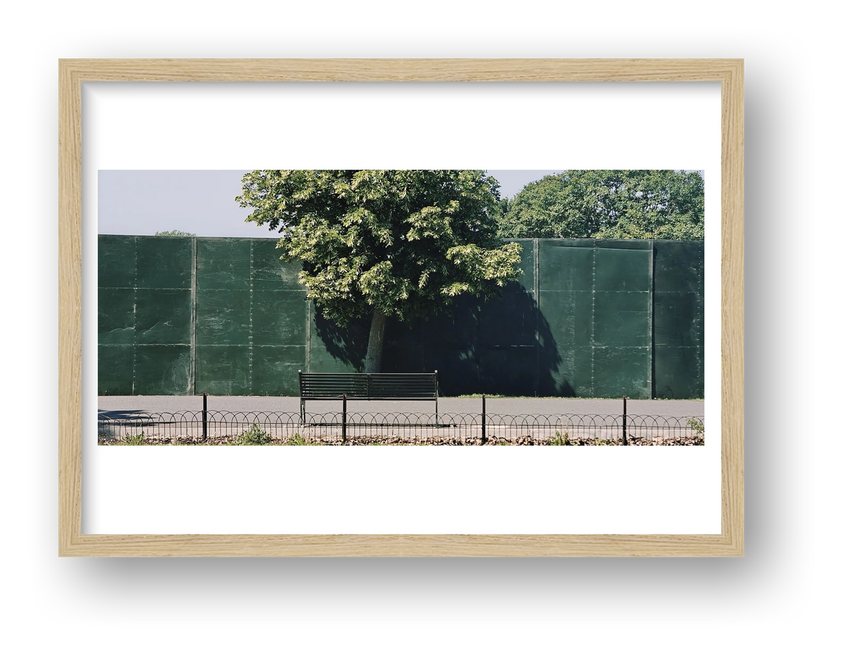 One Tree Fence — framed