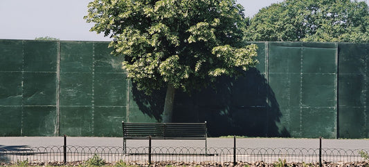 One Tree Bench