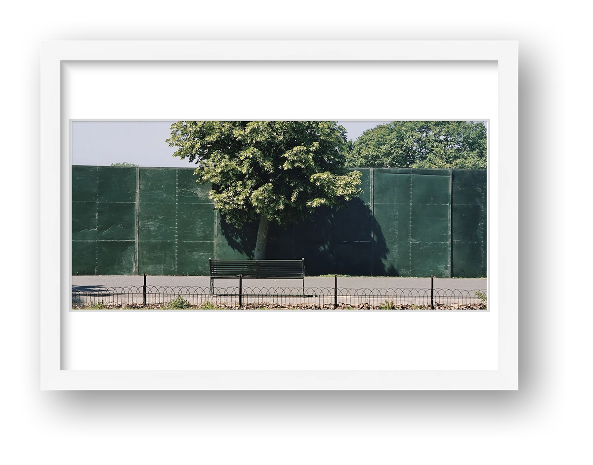 One Tree Bench — framed