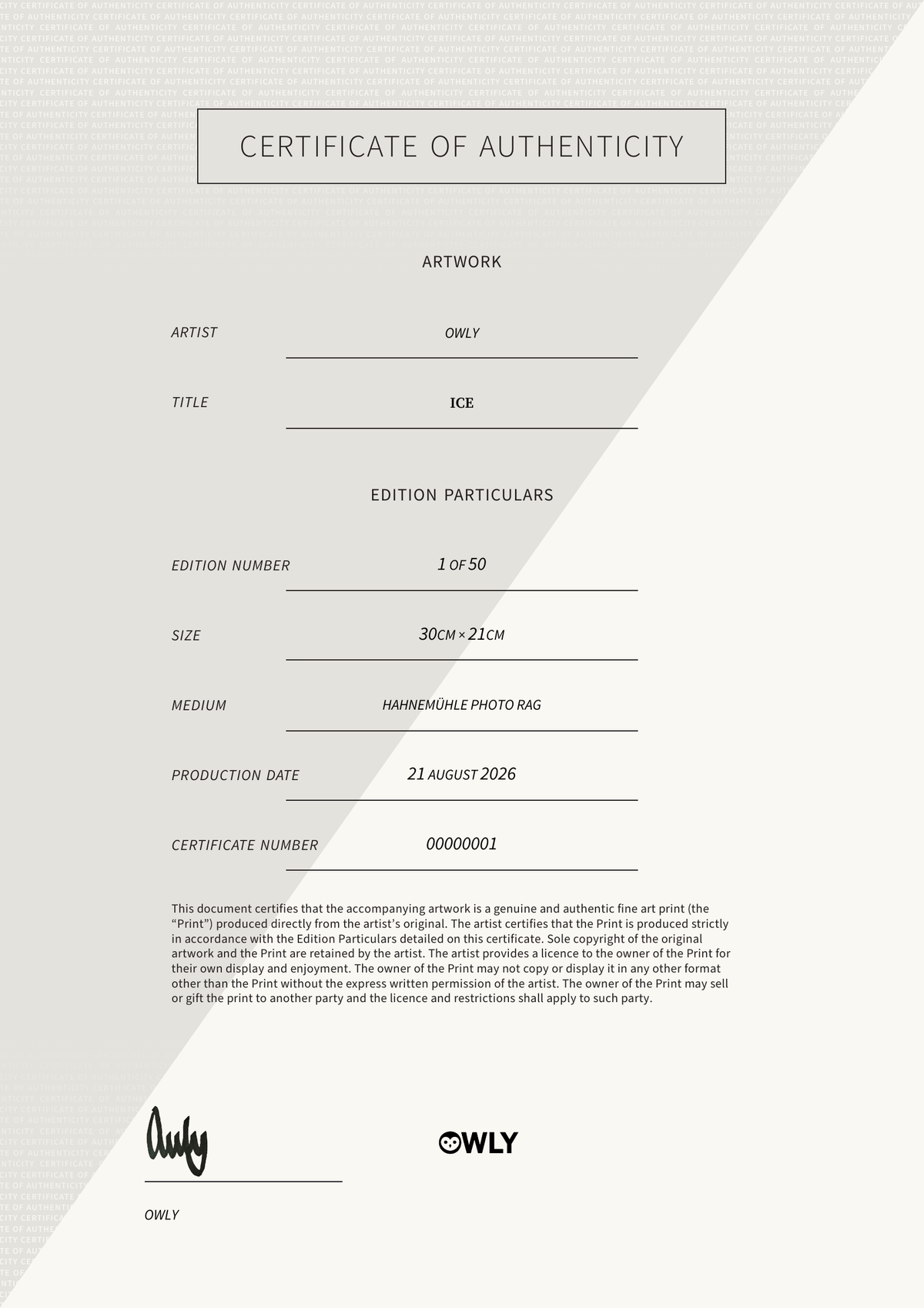 ICE — Certificate of Authenticity