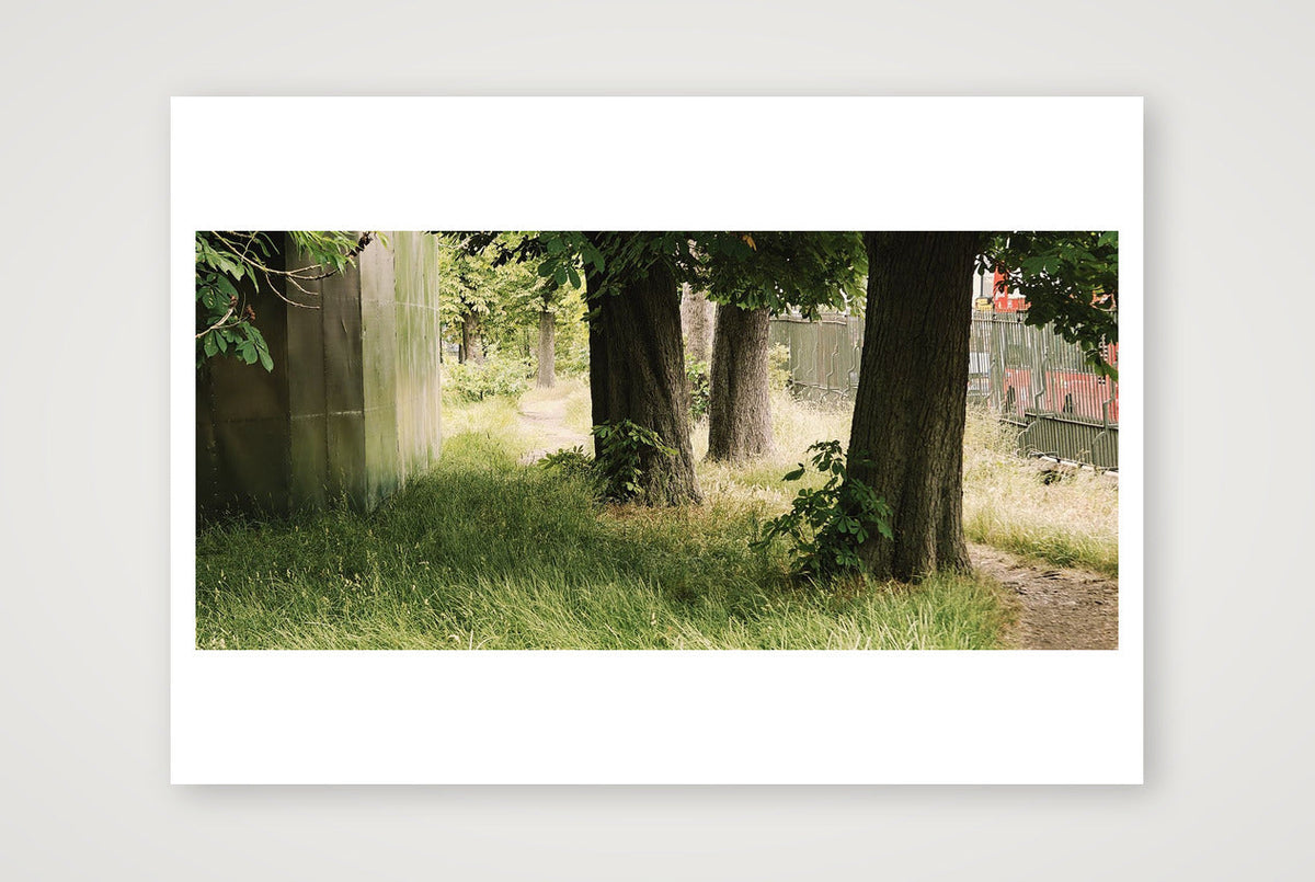 Between a Fence and a Fenced Place — A4 (30×21cm, 12×8") Print only