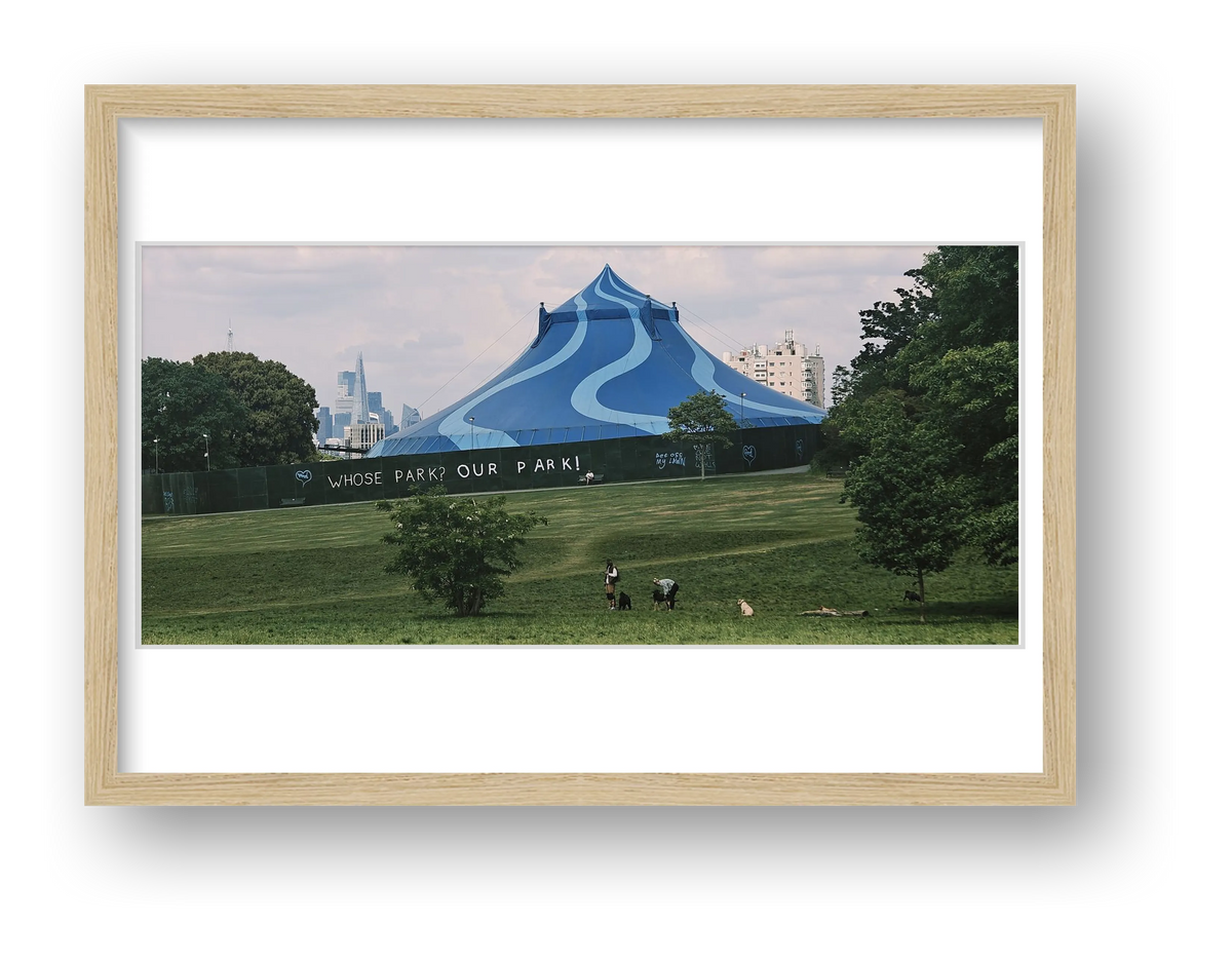 Whose Park? Our Park! Part III — framed