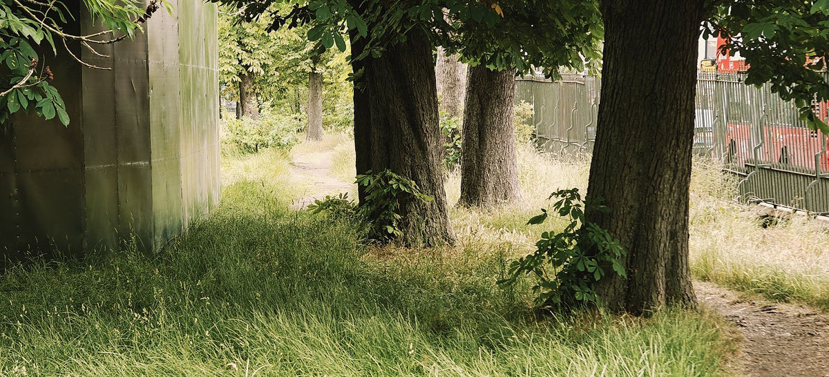Between a Fence and a Fenced Place